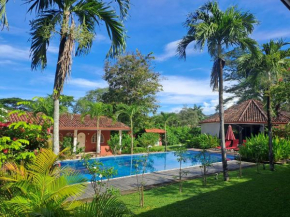 Casa Mapache